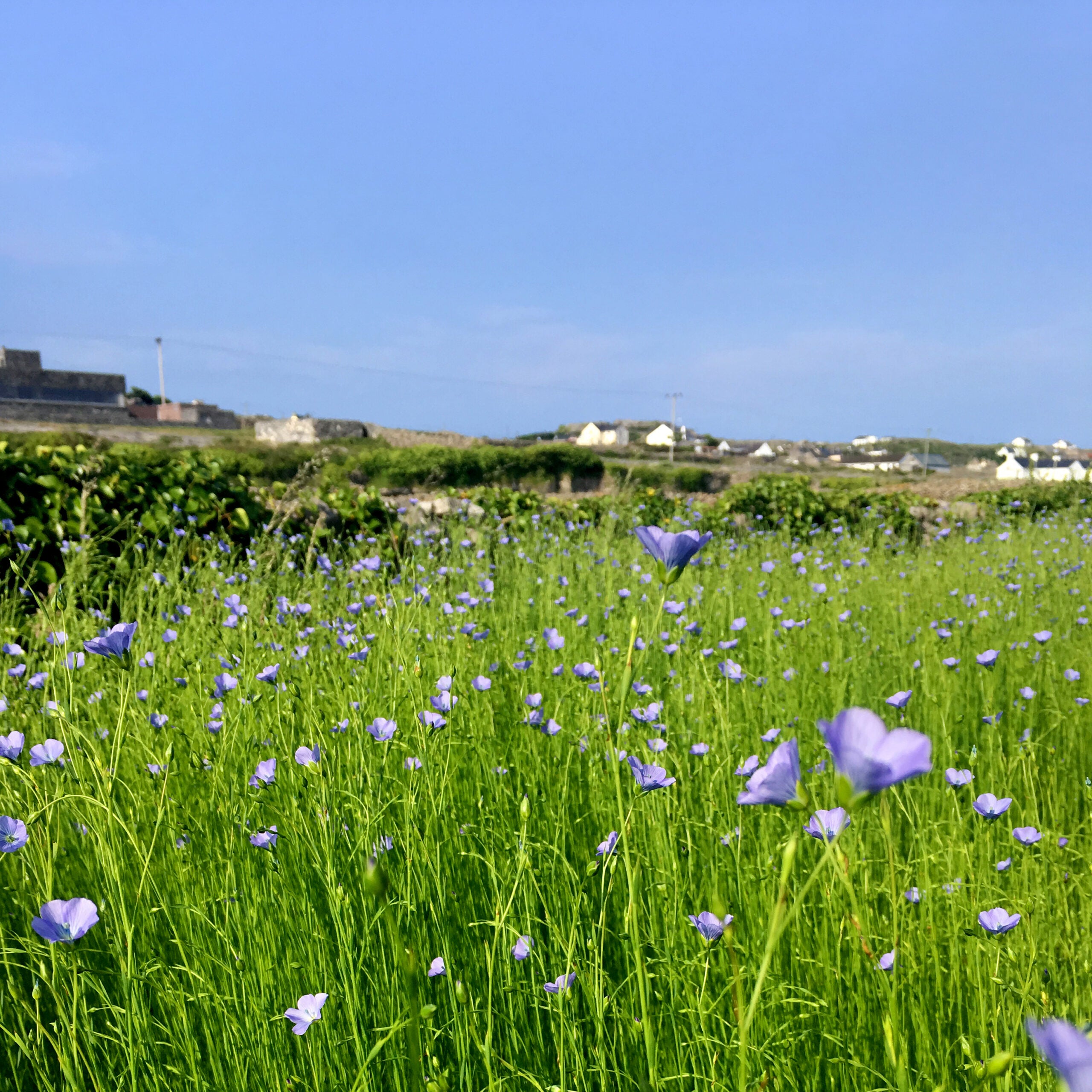 The Texture of History... Linen on Inis Meáin