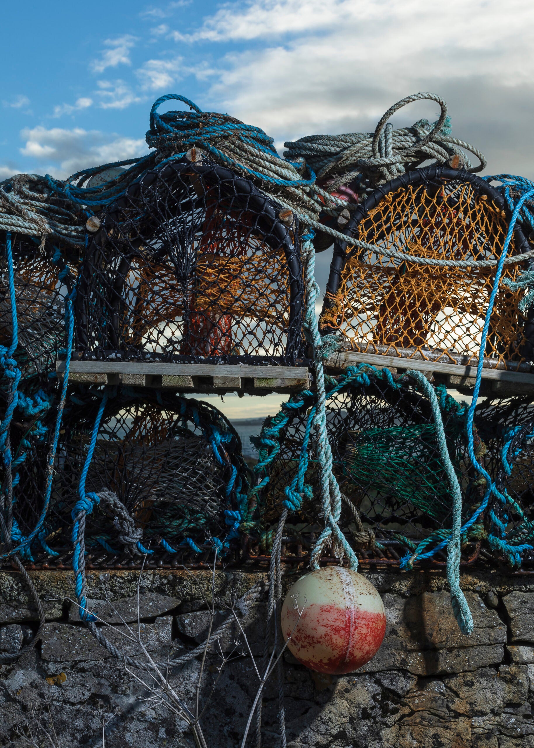 Autumnal Island Colour Inspiration