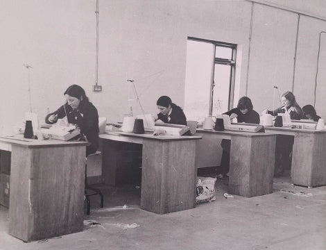 Cailini ag obair sa monarchan