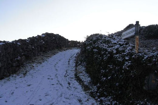 An Rud Is Annamh In Árainn, A Rare Sight In Aran