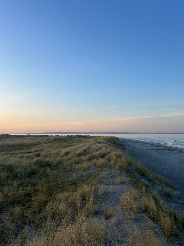 The Merits of Marram